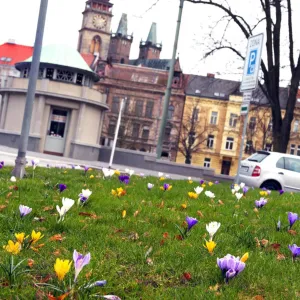 Rozkvetlé východní Čechy! Červený Kostelec, Trutnovsko, Hradec K....