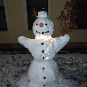 Vaše sněhuláková galerie z FB