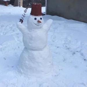 Vaše sněhuláková galerie z FB