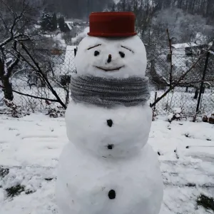 Vaše sněhuláková galerie z FB