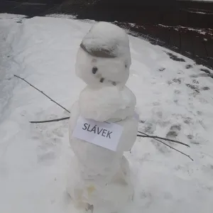 Vaše sněhuláková galerie z FB