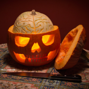 Pumpkin-anatomy
