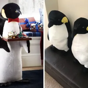 ONLINE NÁKUPY? NE VŽDY SPRÁVNÉ ŘEŠENÍ