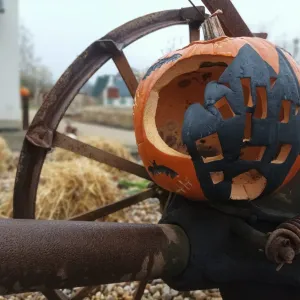 TÝDEN DUCHŮ V SAFARI PARKU JE TADY!