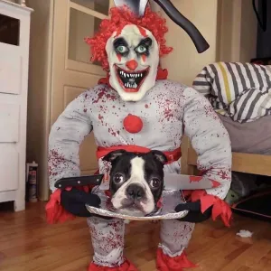 PSÍ HALLOWEEN JE TADY! TOHLE VÁS ROZHODNĚ POBAVÍ
