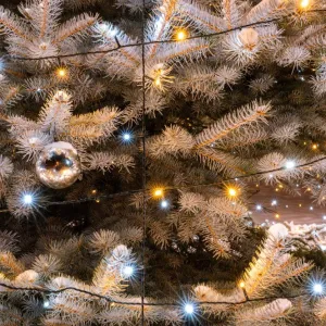 Nejhezčí vánoční strom má obec Chlístov u Dobrušky