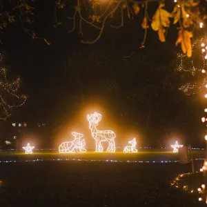 Světelný park v Pardubicích skončil. Navštívilo ho 50 tisíc lidí