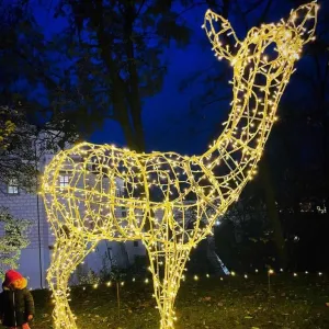Světelný park v Pardubicích skončil. Navštívilo ho 50 tisíc lidí