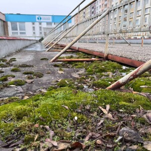 Hradecká Hvězda půjde k zemi. Na jejím místě vyroste 180 bytů