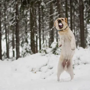 Tohle jsou pocukrované východní Čechy! Kunětická Hora, Kuks, Pomezky..