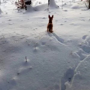 Tohle jsou pocukrované východní Čechy! Kunětická Hora, Kuks, Pomezky..