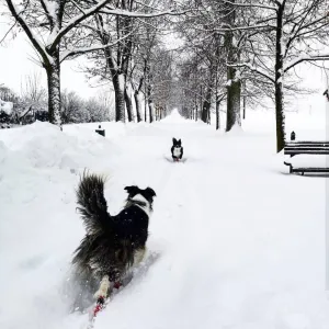 Tohle jsou pocukrované východní Čechy! Kunětická Hora, Kuks, Pomezky..