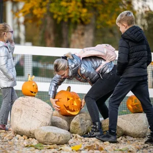 Strašidelný týden přilákal do dvorské zoo 25 tisíc lidí