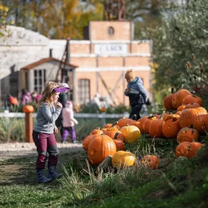 Strašidelný týden přilákal do dvorské zoo 25 tisíc lidí