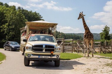 O víkendu otevírá safari ve Dvoře Králové nad Labem
