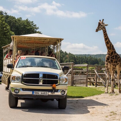 O víkendu otevírá safari ve Dvoře Králové nad Labem