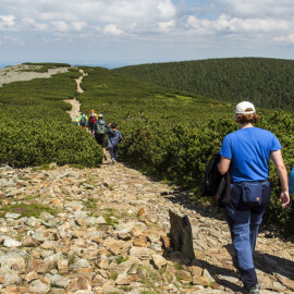 KRNAP doporučuje vyhnout se nejvytíženějším turistickým stezkám v Krkonoších