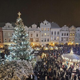 Pardubice už hledají vánoční strom pro náměstí