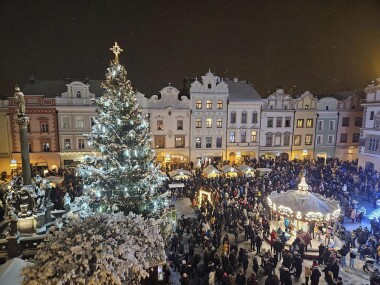 Pardubice už hledají vánoční strom pro náměstí