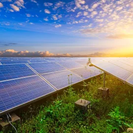 V Hlušicích by mohla vzniknout velká fotovoltaická elektrárna