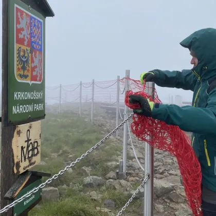 Ochranné sítě na Sněžce: Cílem je chránit křehkou alpinskou přírodu