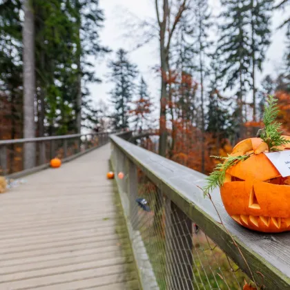 Halloween na Stezce korunami stromů: Tři dny plné strašidelné zábavy! 🎃👻