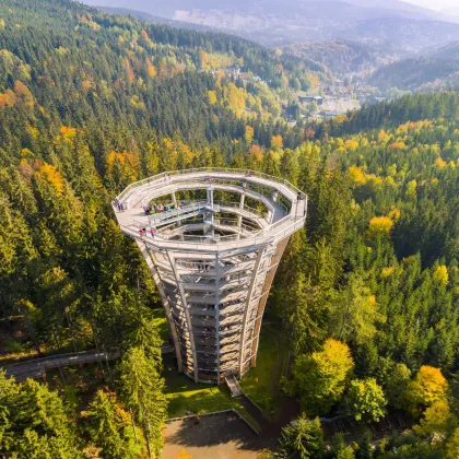 Listopadová pohádka v Krkonoších – Stezka korunami stromů zdarma pro děti!