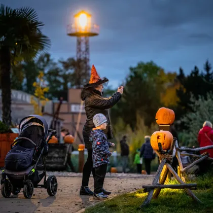Safari Park připravuje tradiční Týden duchů. Začne 25. října