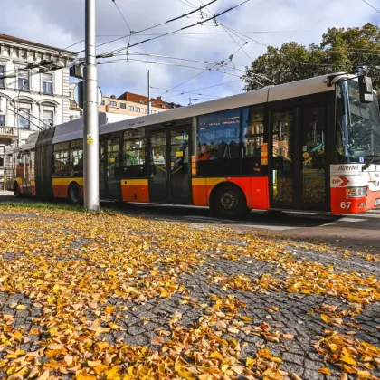 Jízda na černo? Od nového roku budou v Hradci Králové padat vyšší pokuty