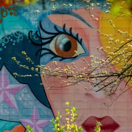 Starou zeď u sokolovny v Pardubicích město přetvoří na umělecké dílo o sportu