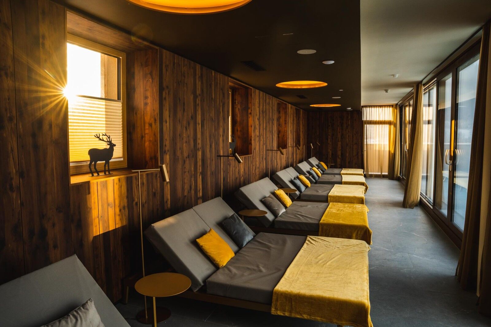 dilly_what_if_media_3